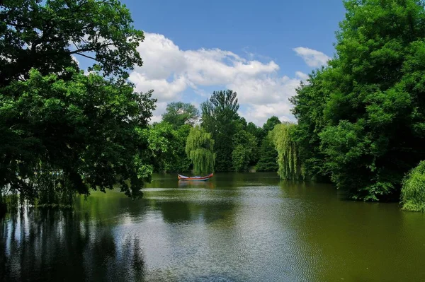 Hermosa Vista Del Río Bosque Día Soleado — Foto de Stock