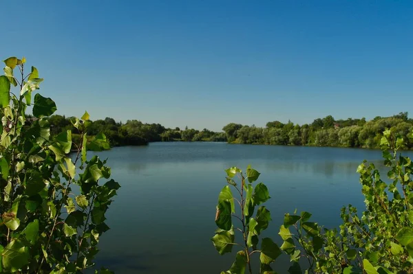 Yaz ormanındaki güzel göl manzarası