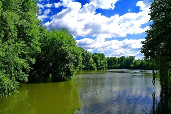 夏の森の中の湖の美しい景色 — ストック写真