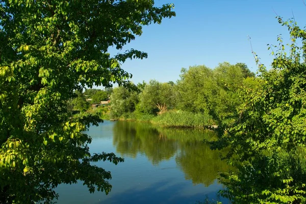 晴れた日の夏の森の川の美しい景色 — ストック写真