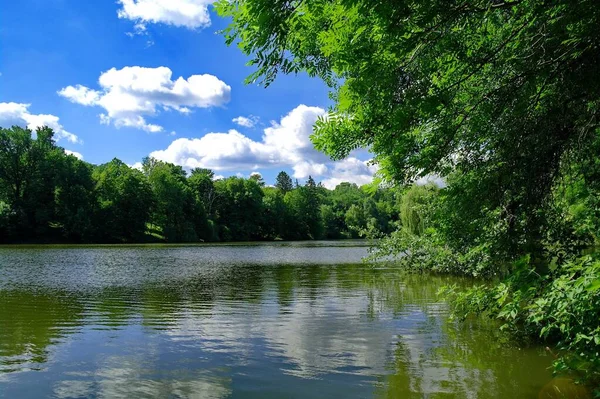 Piękny Widok Rzekę Letnim Lesie Słoneczny Dzień — Zdjęcie stockowe