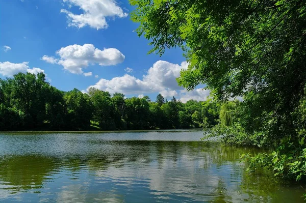 Piękny Widok Rzekę Letnim Lesie Słoneczny Dzień — Zdjęcie stockowe