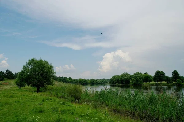 Schöne Sommerlandschaft Mit Fluss — Stockfoto