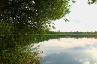 Nehir ve yeşil ağaçlarla güzel bir yaz manzarası 
