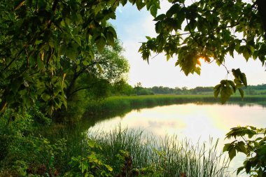 Nehir ve gölü olan güzel bir manzara.