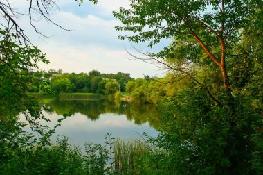 Parktaki nehrin güzel manzarası