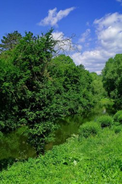 Parkın güzel manzarası