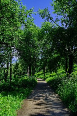 Yaz parkındaki güzel yol manzarası 