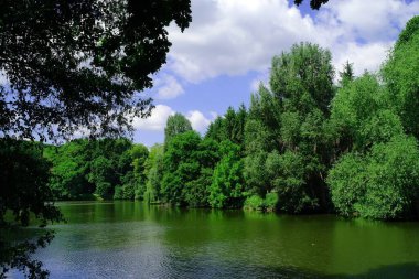 Güzel göl manzarası