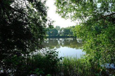 Güneşli bir günde nehir ve yeşil ağaçlarla güzel bir yaz manzarası