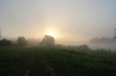 Güzel sisli bir sabah manzarası. Bahar çayırında gün doğumu