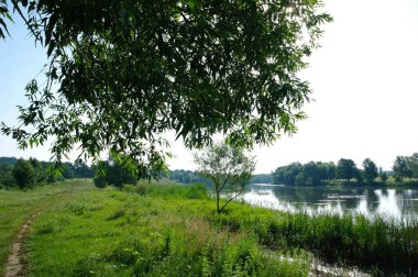 Güneşli bir günde güzel bir nehir manzarası.