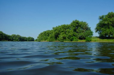 Nehirli güzel yaz manzarası