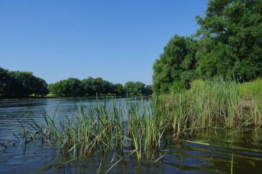 Nehirli güzel yaz manzarası