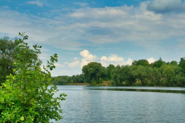 Güneşli bir günde nehir ve yeşil ağaçlarla güzel bir yaz manzarası