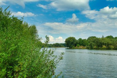 Güneşli bir günde nehir ve yeşil ağaçlarla güzel bir yaz manzarası