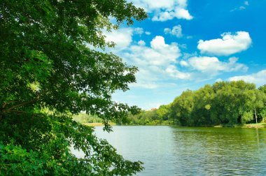 Güneşli bir günde nehir ve yeşil ağaçlarla güzel bir yaz manzarası