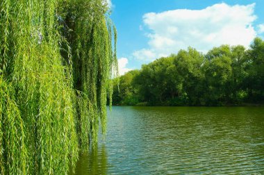Güneşli bir günde nehir ve yeşil ağaçlarla güzel bir yaz manzarası