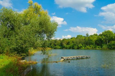 Güneşli bir günde nehir, yeşil ağaçlar ve küçük ahşap iskele olan güzel bir yaz manzarası.