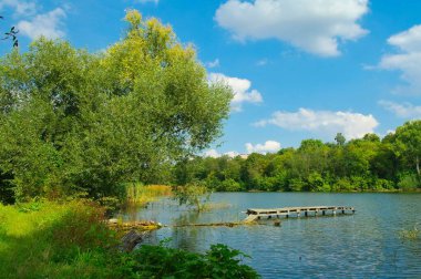 Güneşli bir günde nehir, yeşil ağaçlar ve küçük ahşap iskele olan güzel bir yaz manzarası.