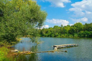 Güneşli bir günde nehir, yeşil ağaçlar ve küçük ahşap iskele olan güzel bir yaz manzarası.