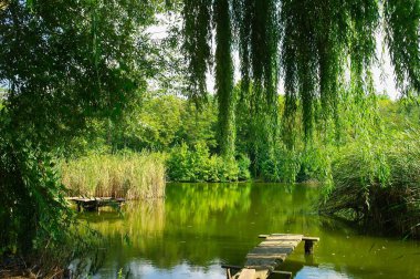 Güneşli bir günde nehir, yeşil ağaçlar ve küçük ahşap iskele olan güzel bir yaz manzarası.