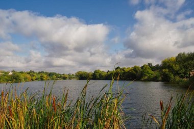 Yazın güzel göl manzarası