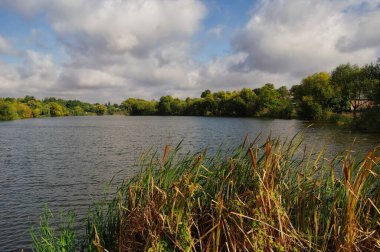Nehirli güzel yaz manzarası