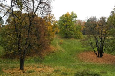 Güzel sonbahar manzarası, parlak yapraklı ağaçlar.