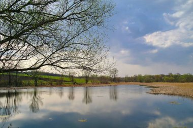 Güneşli bir günde nehir, mavi gökyüzü ve yeşil ağaçlarla güzel bir yaz manzarası.