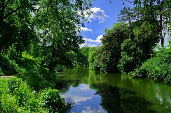 公園内の川の美しい景色 — ストック写真