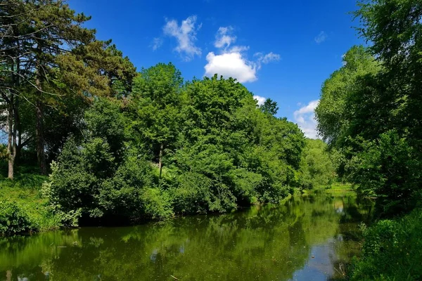 Piękny Widok Rzekę Parku — Zdjęcie stockowe