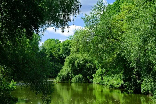 Piękny Widok Rzekę Parku — Zdjęcie stockowe