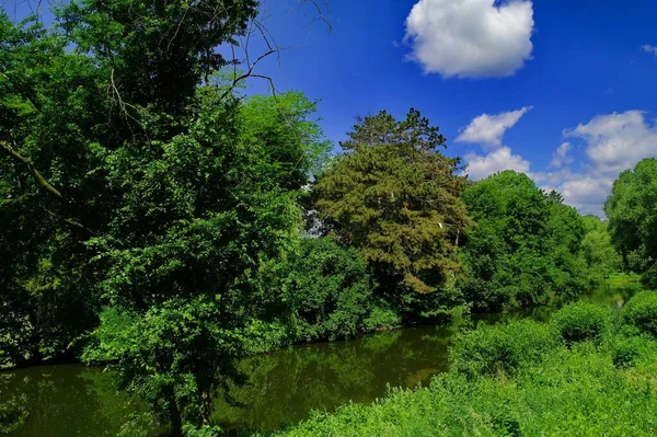 Schöne Sommerlandschaft Mit Fluss Und Grünen Bäumen Einem Sonnigen Tag — Stockfoto