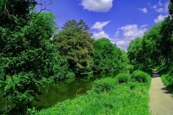 Hermoso Paisaje Verano Con Río Árboles Verdes Día Soleado — Foto de Stock