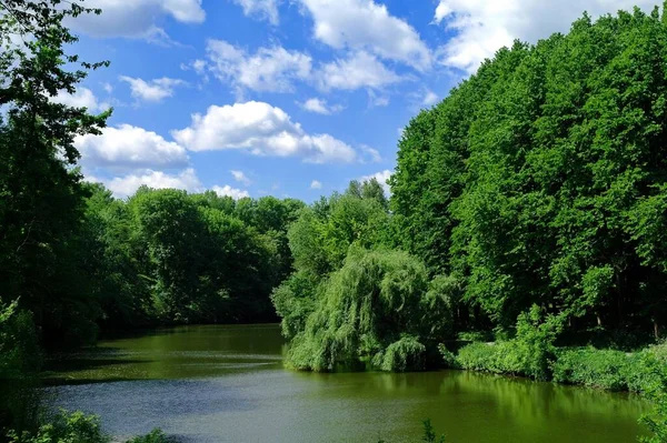 川や木のある美しい風景 — ストック写真