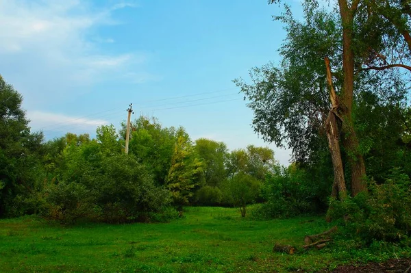 나무로 뒤덮인 아름다운 — 스톡 사진