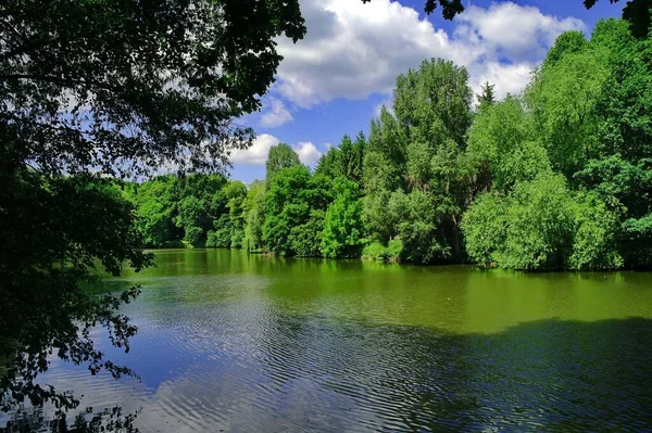 Piękny Krajobraz Rzeką Drzewami — Zdjęcie stockowe