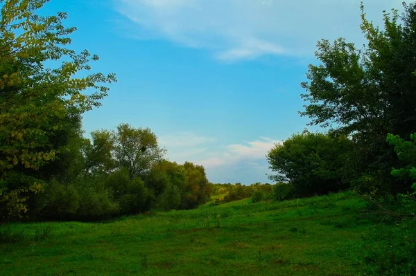 美丽的风景 有一棵树和蓝天 — 图库照片