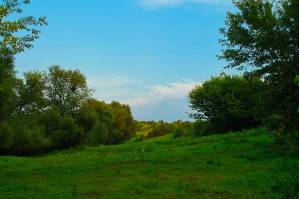 Krásná Krajina Stromem Modrou Oblohou — Stock fotografie