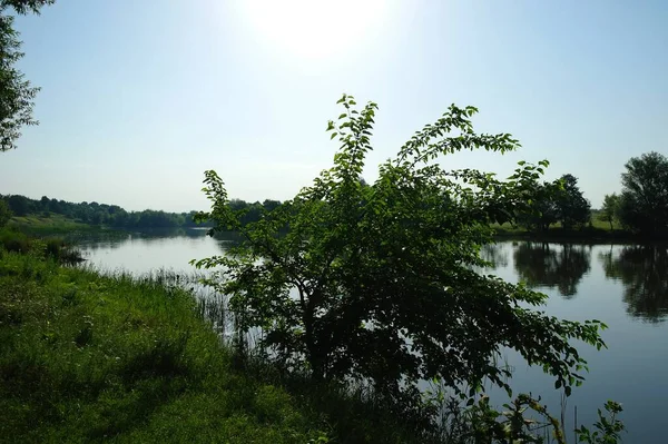 川のある美しい夏の風景 — ストック写真
