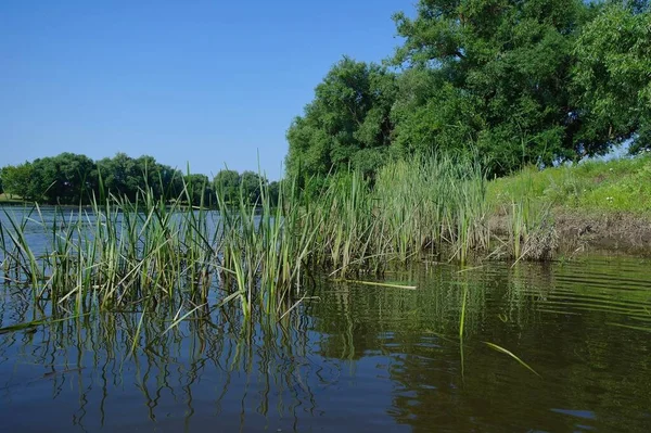 Nehirli güzel yaz manzarası