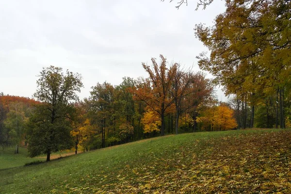 Красивый Осенний Пейзаж Деревья Яркими Листьями — стоковое фото