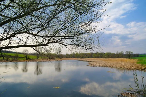 Nehir ve göl manzarası çok güzel.
