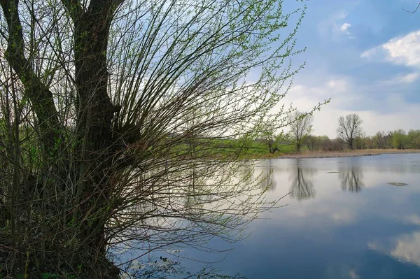 Nehirli güzel yaz manzarası