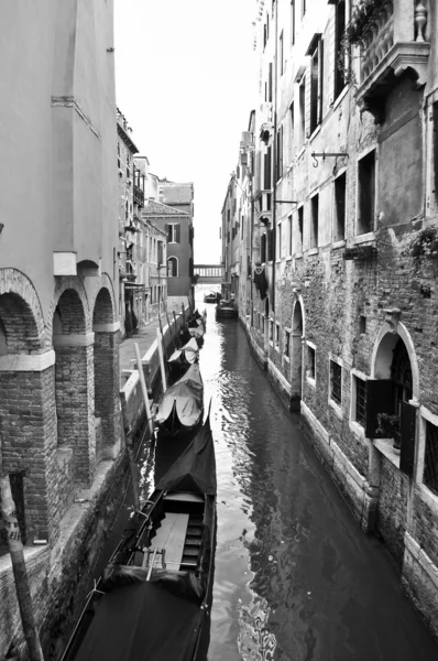 Venedig venezia — Stockfoto