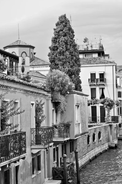 Venezia Benátky — Stock fotografie