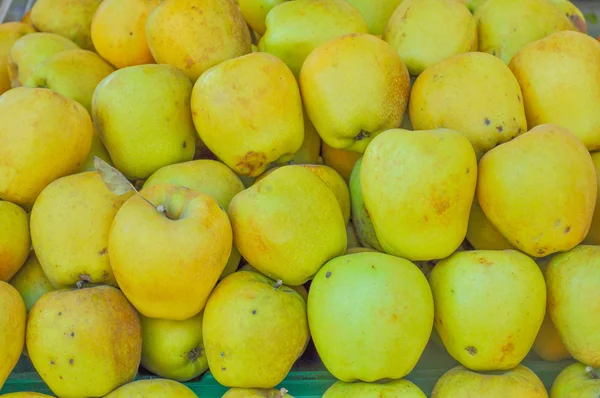 Frutta di mela — Foto Stock