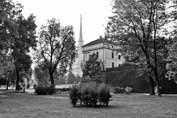 Talpa Antonelliana Torino — Foto Stock