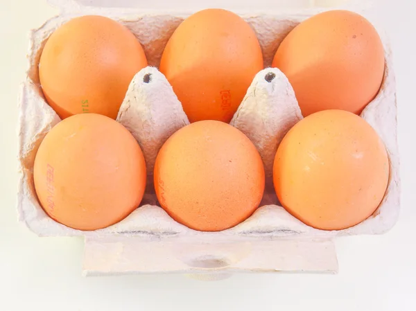 Huevos en caja de cartón —  Fotos de Stock